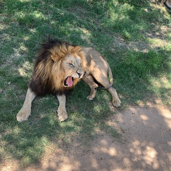 Meet your Posher, Lawence - Picture 1 of 1